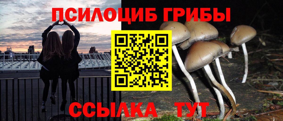 Псилоцибиновые грибы прущие грибы Чернушка