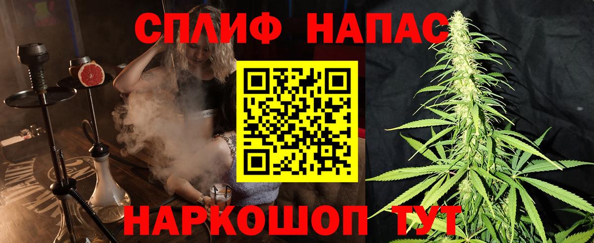 Конопля план Чернушка